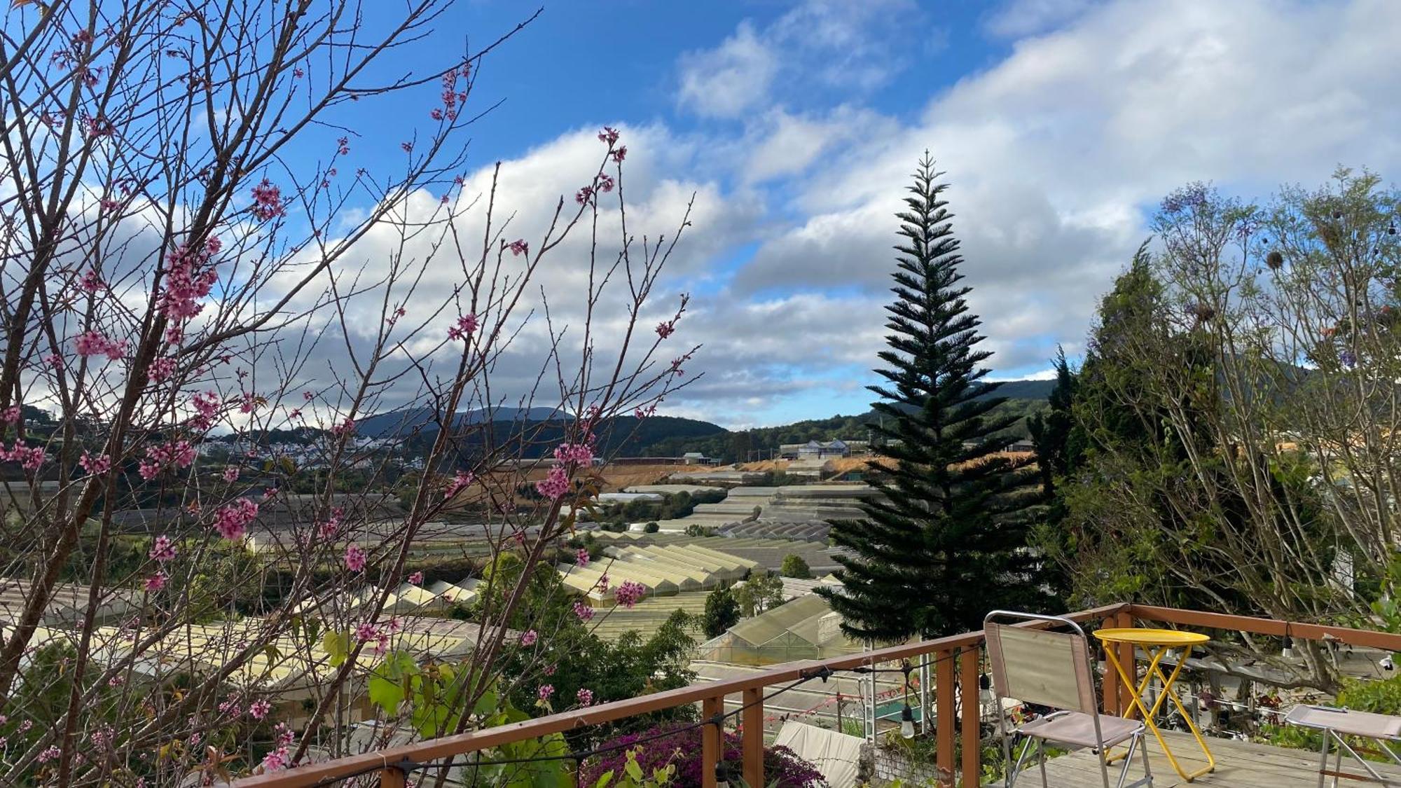Mala Home & Coffee Da Lat Buitenkant foto