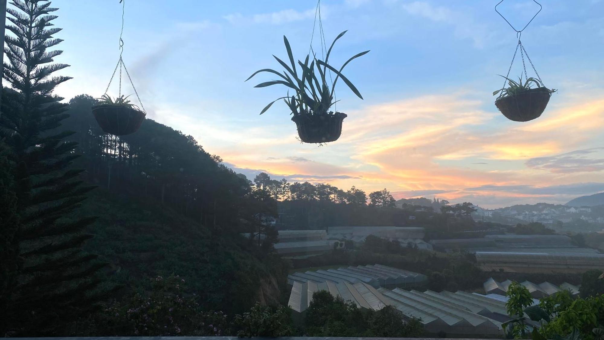 Mala Home & Coffee Da Lat Buitenkant foto